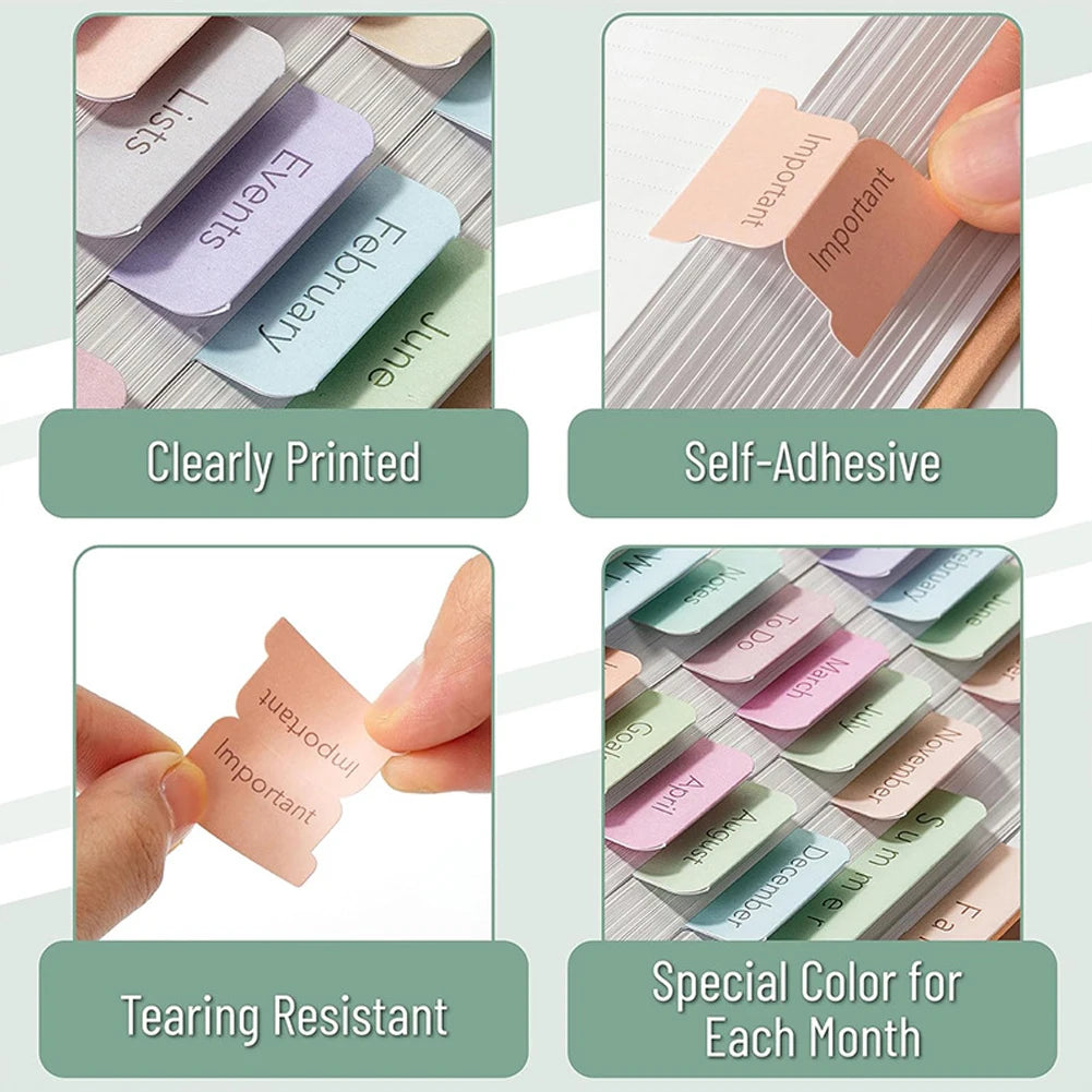 5/6 Sheets Bible Tabs