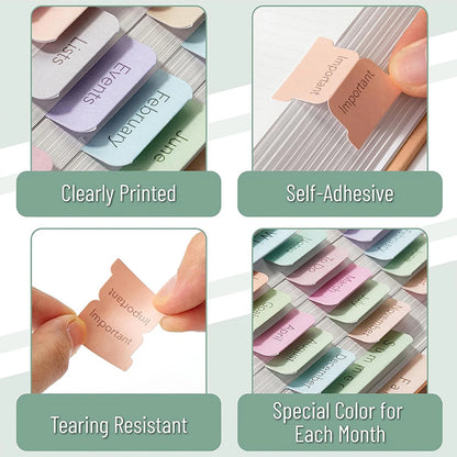 5/6 Sheets Bible Tabs