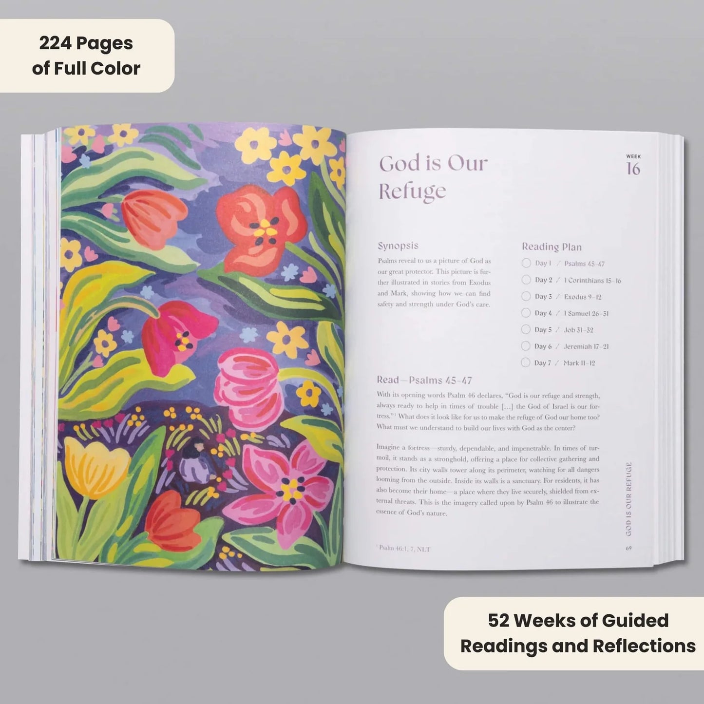 The Bible In A Year: 52-Week Study